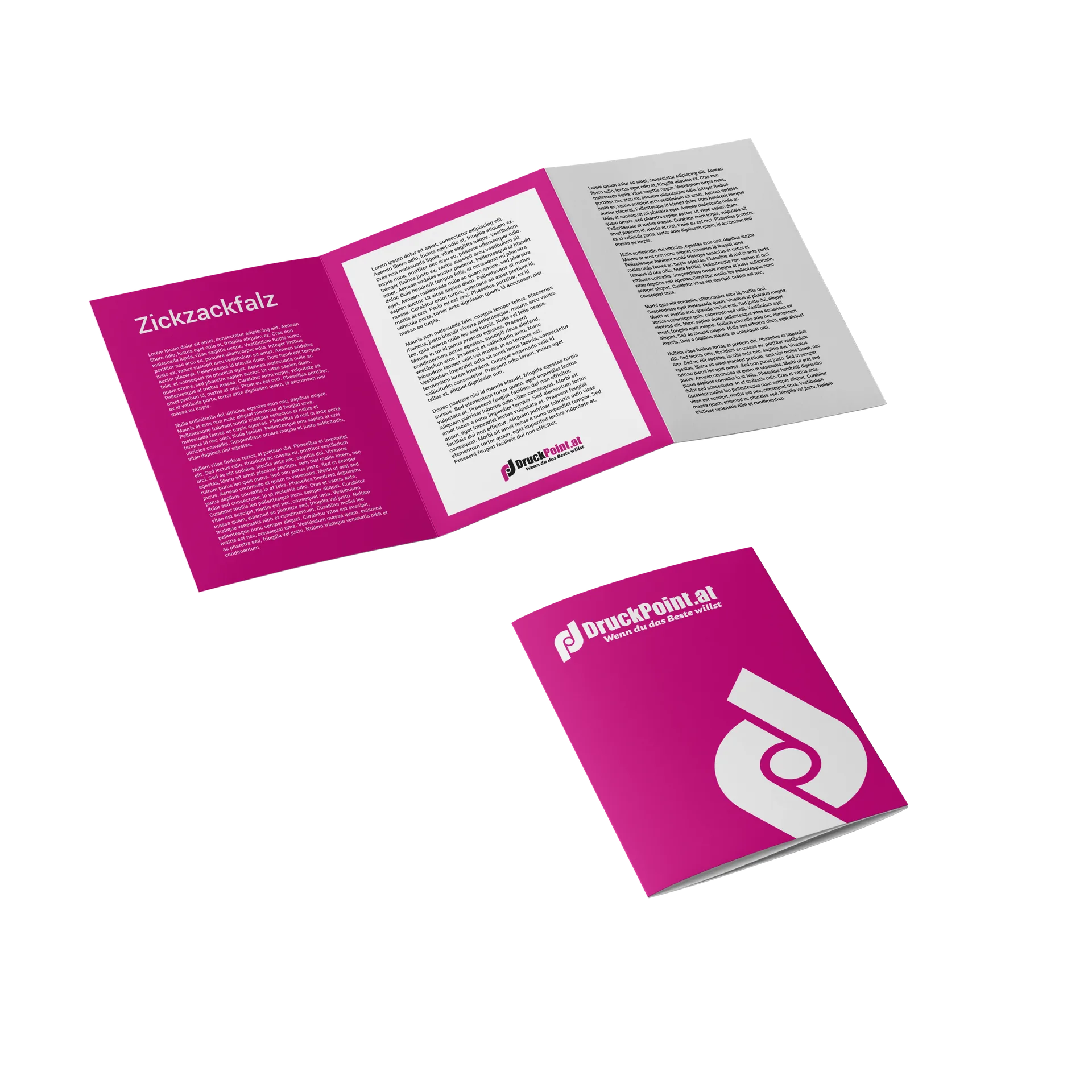 Flyer & Folder – DruckPoint.at